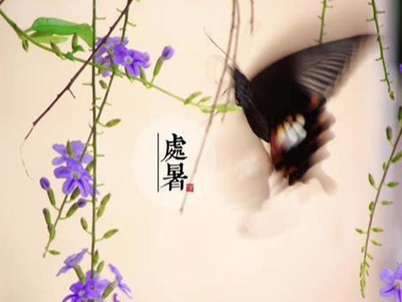 確認(rèn)過了，他家能幫你趕走“秋老虎”